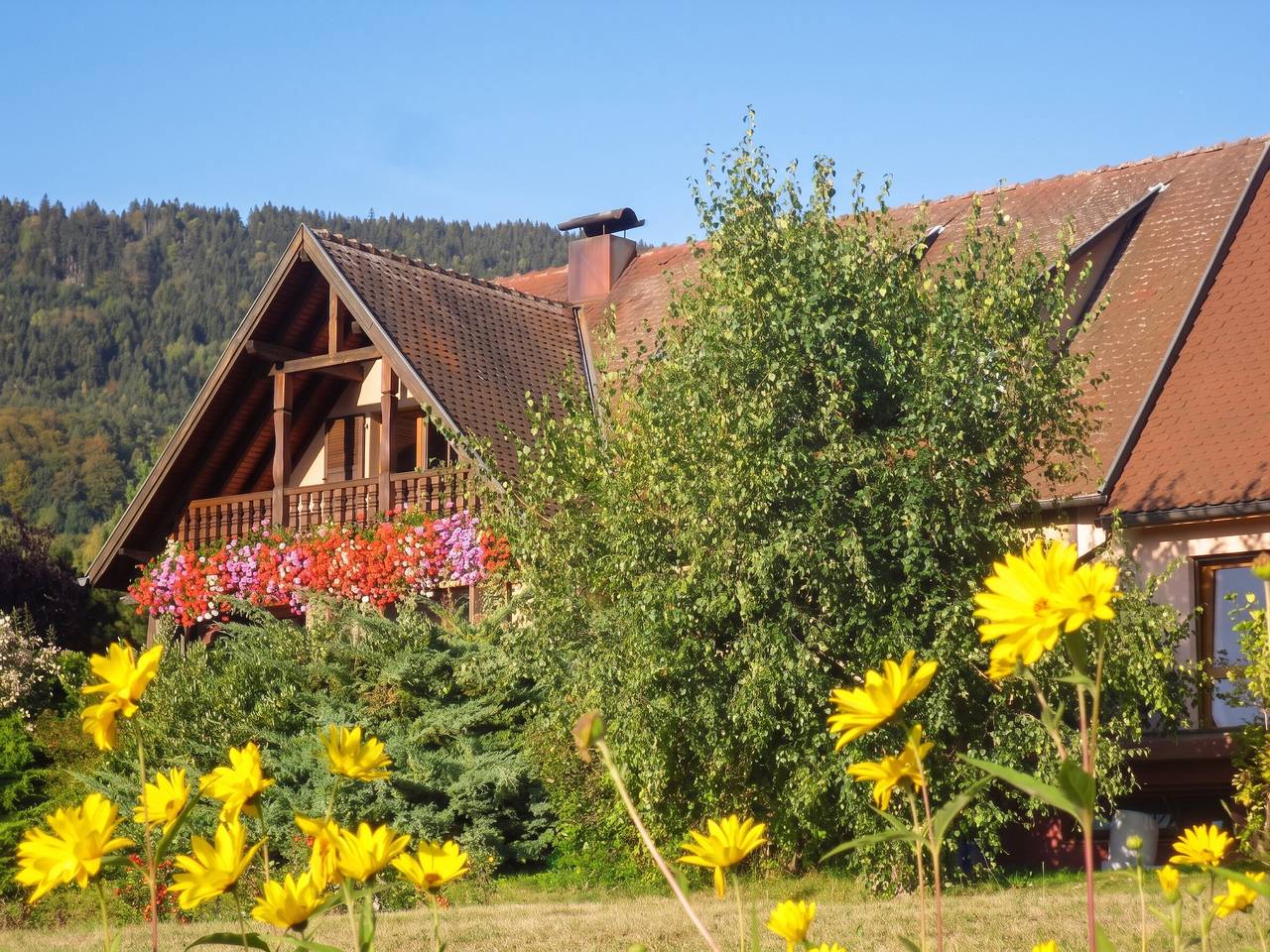 Appartement entier, Appartement charmant à Thannenkirch avec vue montagne in Thannenkirch, Parc naturel régional des Ballons des Vosges