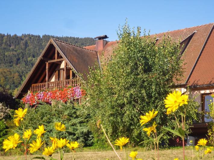 Apartamento entero, Apartamento encantador en Thannenkirch con vista a la montaña in Thannenkirch, Parque natural regional de los Ballons des Vosges
