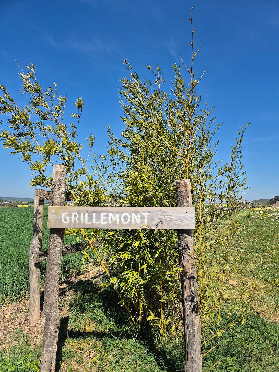 Maison de campagne 'Le Domaine De Grillemont' avec terrasse privée, jardin et Wi-Fi in Crissé, Parc naturel régional Normandie-Maine