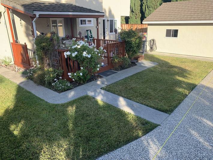 Vacation rental for 12 people, with yard in Silicon Valley