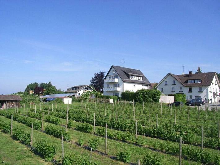 2 auf dem Obst- und Ferienhof Marschall in Wasserburg (Bodensee), Bayerisch Schwaben