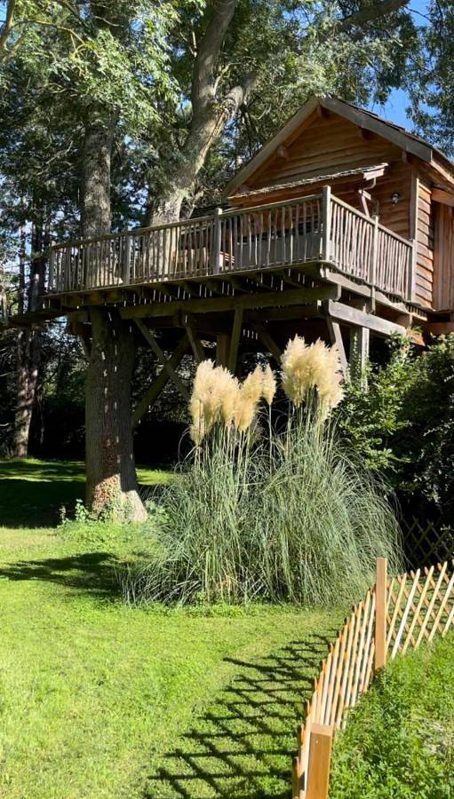 Cabane perchée luxe avec jacuzzi Domaine du Marais Maisse in Maisse, Parc naturel régional du Gâtinais français