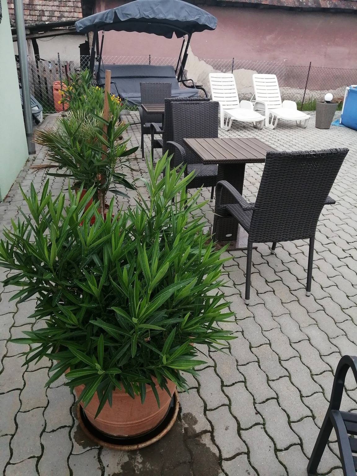 Apartamento entero, Attila Vendégház Ap. 12 person in Pest (condado)