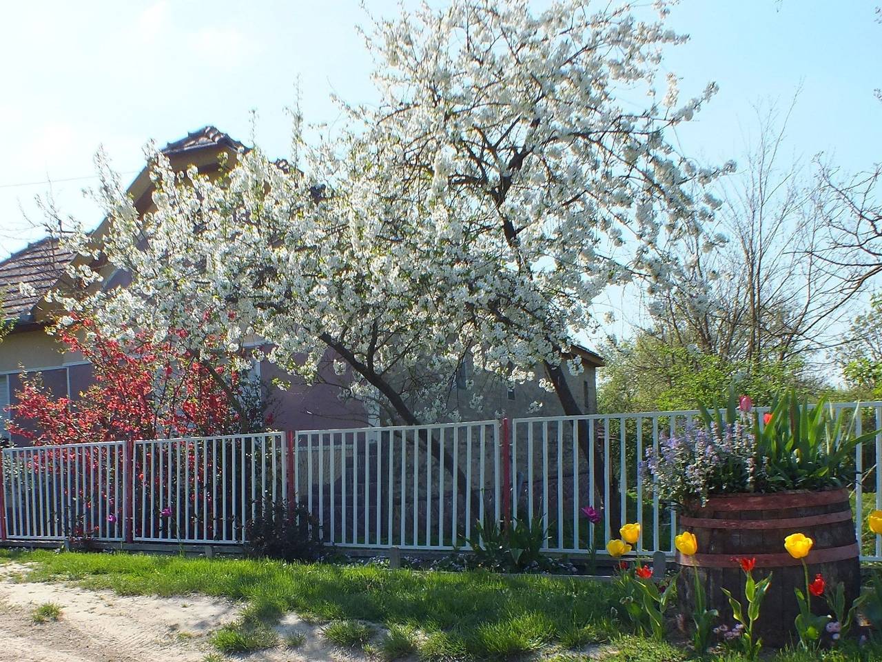 In Döbrököz mit privatem Pool in Döbrököz, Komitat Tolnau
