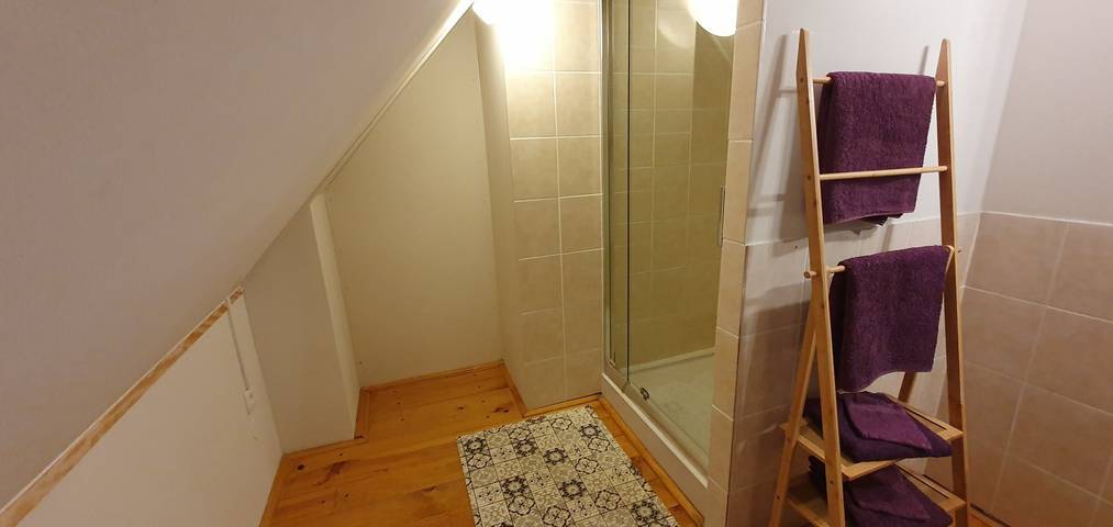 Chambre d’hôte pour 2 personnes, avec vue sur le lac ainsi que piscine et jardin, animaux acceptés dans Allier - 3