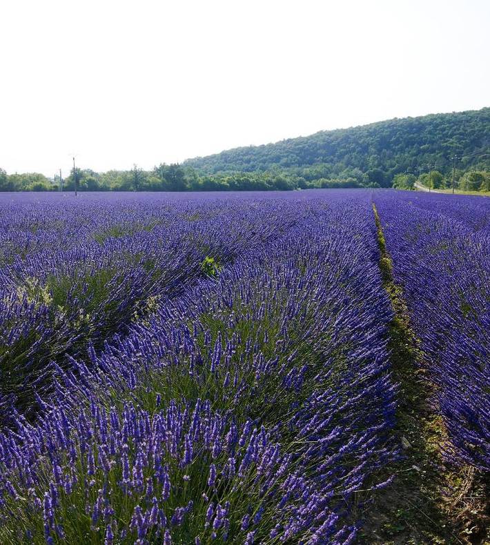 Gîte pour 4 personnes, avec jardin à La Bégude-de-Mazenc - 2