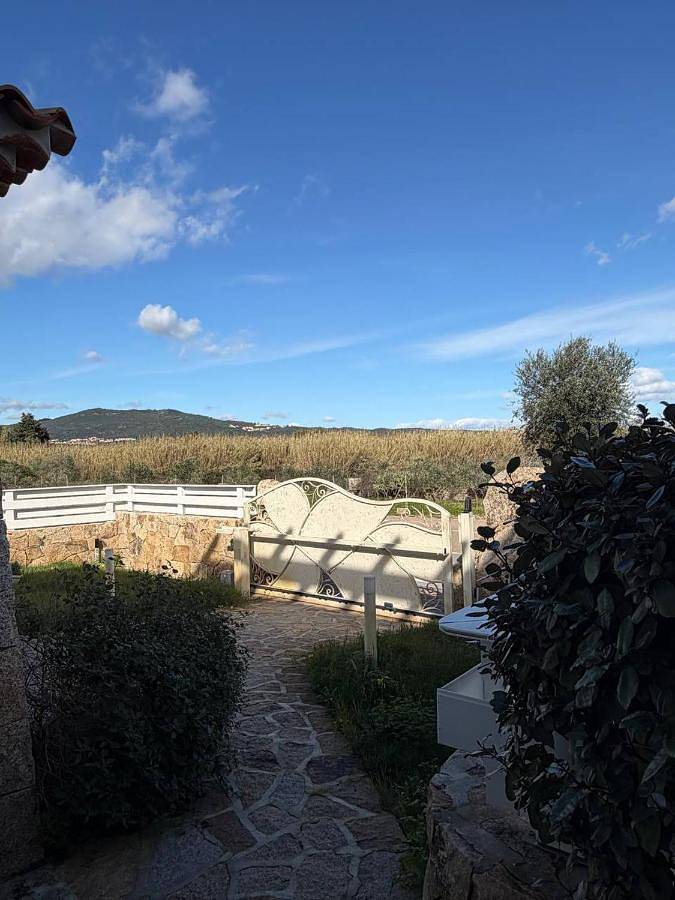 Maison d’hôte pour 4 personnes, avec terrasse et piscine à Budoni - 3