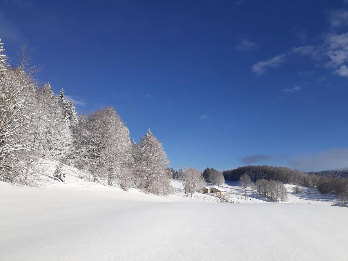 Gîte des 3 Marches in Lamoura, Parc naturel régional du Haut-Jura