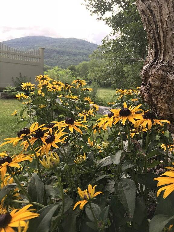 Cottage for 2 People in Arlington (VT), Green Mountain National Forest