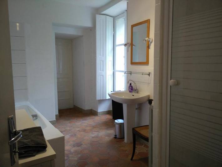 Location de vacances pour 25 personnes, avec jacuzzi ainsi que piscine et jardin à Seurre - 4