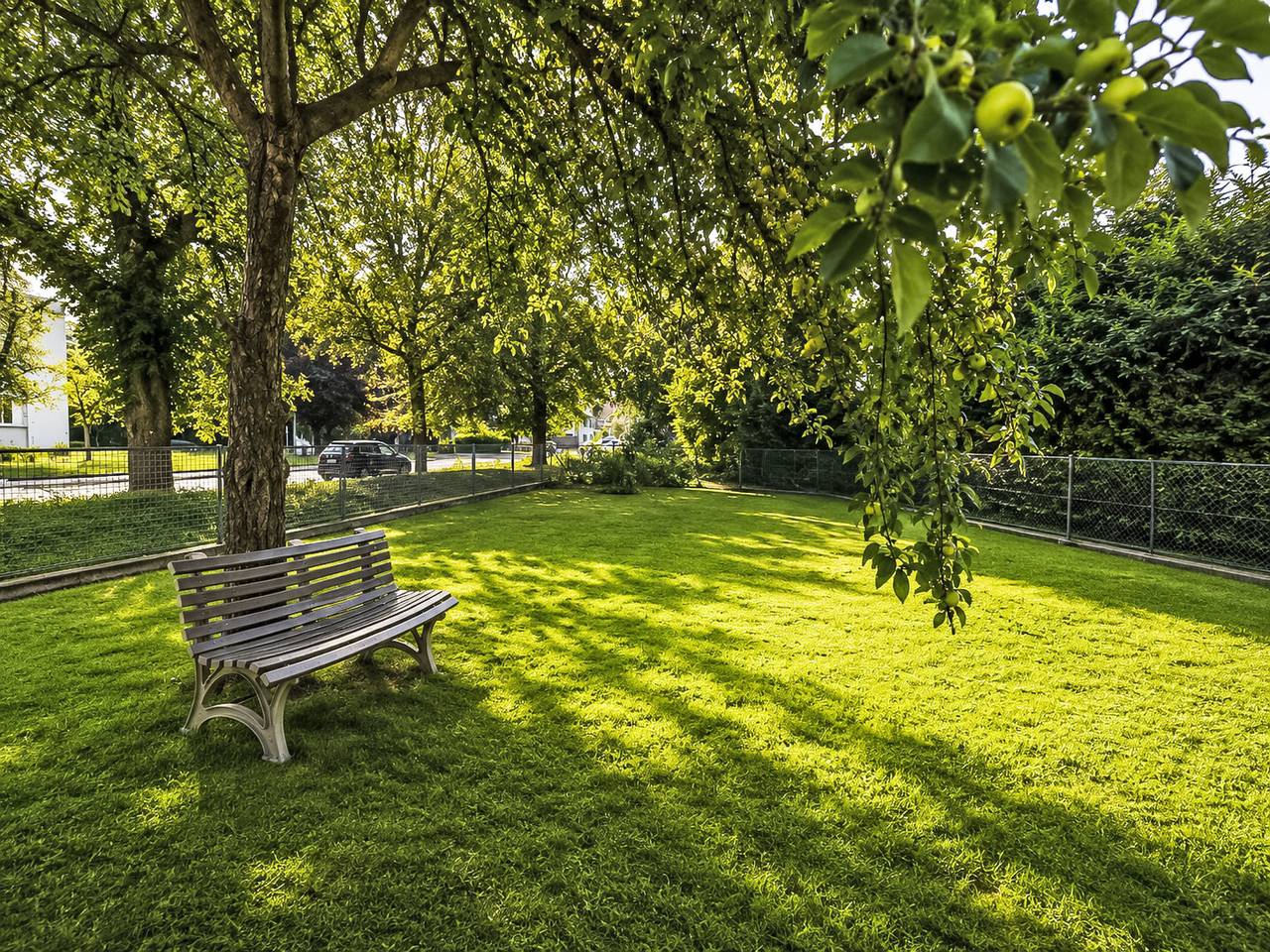 Ganze Wohnung, Wohnung „Sonnendeck“ in Laupheim, Landkreis Biberach