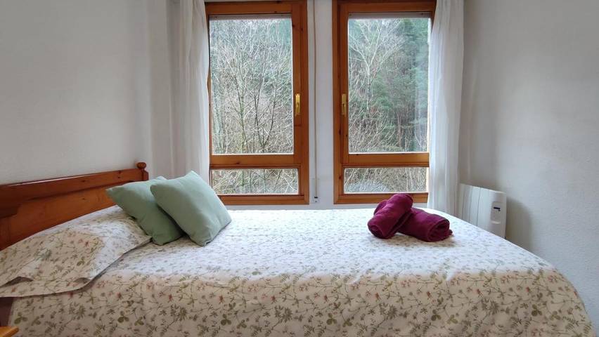 Gîte pour 5 personnes, avec vue et terrasse à Candanchú - 3