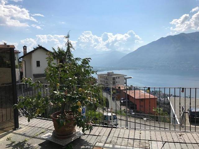 Ganze Wohnung, Apartment - Ground Floor in Orselina, Tessiner Alpen
