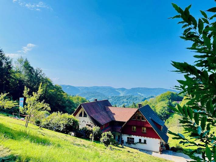Ganze Wohnung, Ferienwohnung "Deine Rauszeit" mit Bergblick, Privat-Terrasse und Wlan in Seebach (Ortenaukreis), Achertal