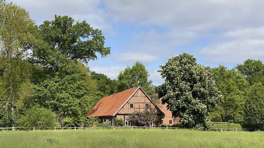 Ferienhaus für 6 Personen, mit Terrasse und Garten in Hannover und Umgebung