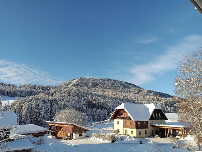 Bauernhaus für 3 Personen, mit Garten und Ausblick sowie Sauna, kinderfreundlich in der Steiermark - 2