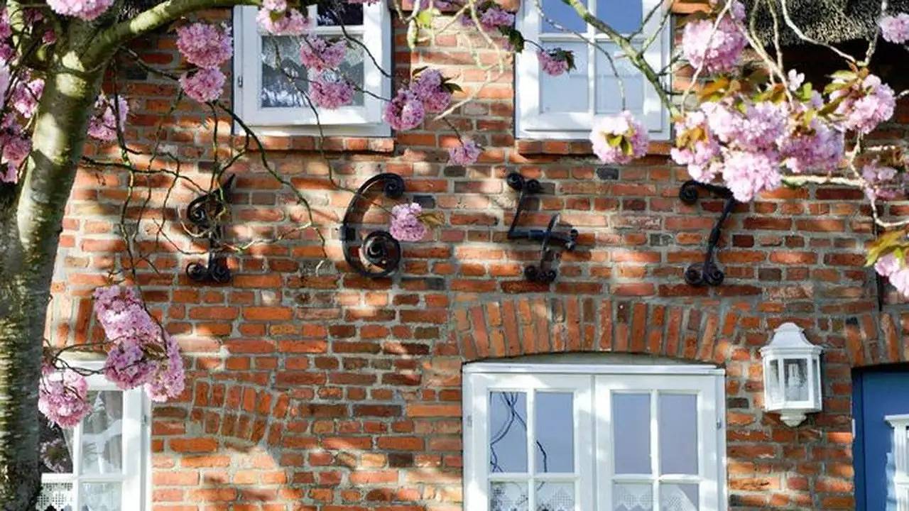 Ferienhaus für 4 Personen (94 m²) in Wyk auf Föhr (Stadt), Wyk auf Föhr