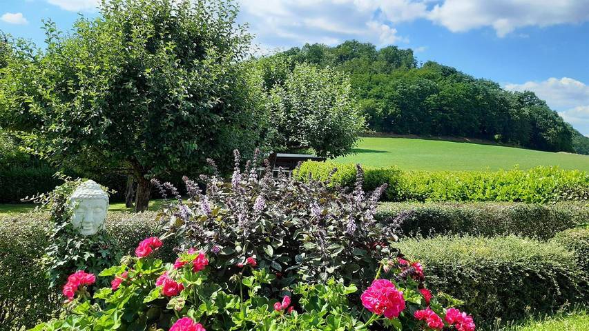 Ferienwohnung für 3 Personen, mit Garten in Bernkastel-Kues & Umgebung - 2