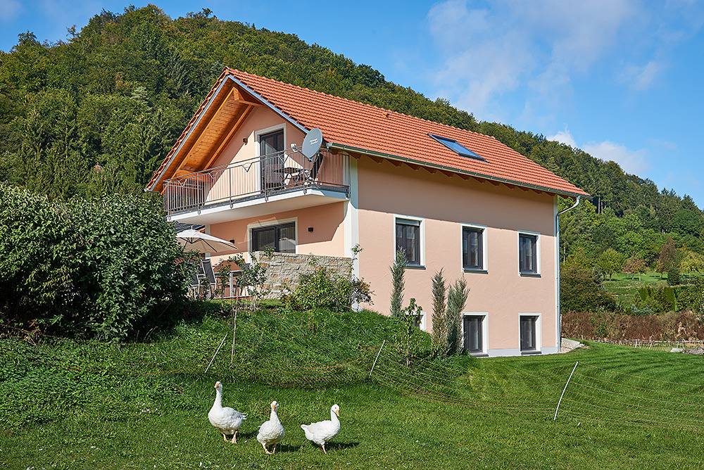 Ferienhof Halbig - Gemütliches Ferienhaus "Dorfblick" (150 qm) mit Balkon und Terrasse in Riedenburg, Ostbayern