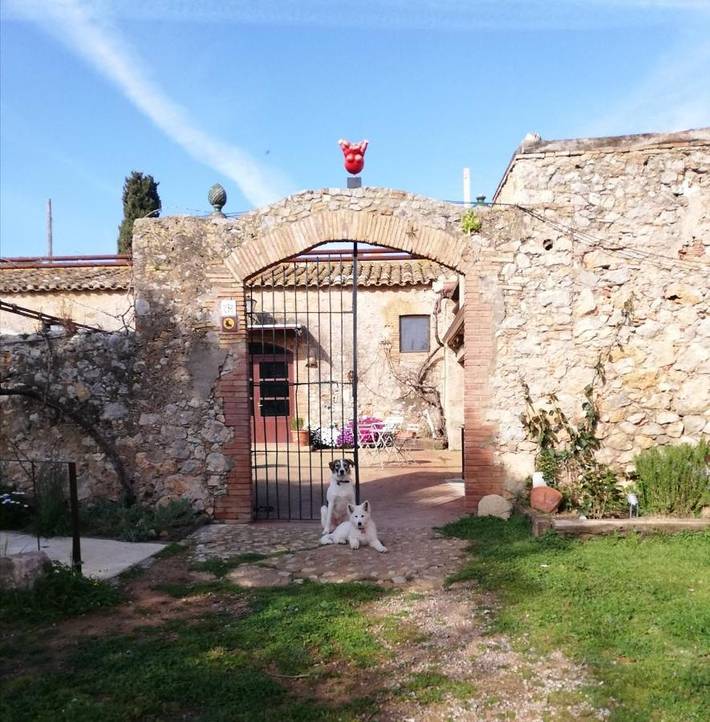 Chambre d’hôte pour 4 personnes, avec vue ainsi que piscine et jardin, animaux acceptés à Torroella de Montgrí - 3