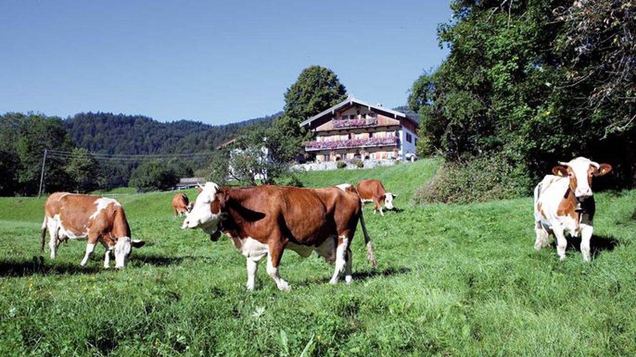 Entire holiday apartment, Ferienwohnung für 5 Personen (50 m²) in Kreuth in Brunnbichl, Kreuth