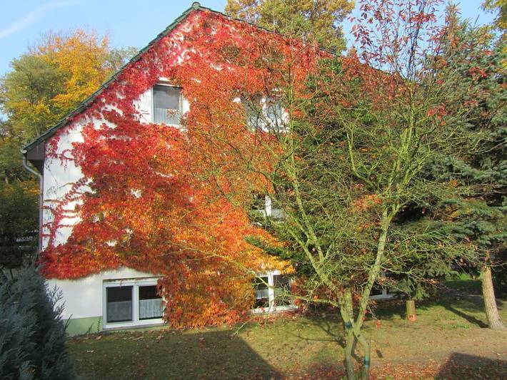 Ferienhaus für 4 Personen, mit Garten - 1