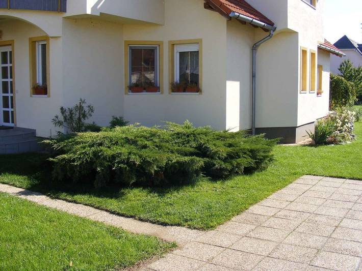 Ganze Ferienwohnung, Ferienwohnung mit Garten  in Bük, Komitat Eisenburg