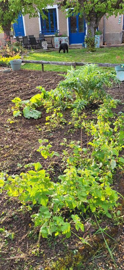 Location de vacances pour 11 personnes, avec vue et jardin à Accolay (Yonne) - 3