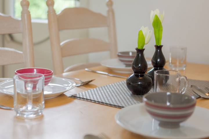 Ferienhaus für 3 Personen, mit Garten in Friesland - 4