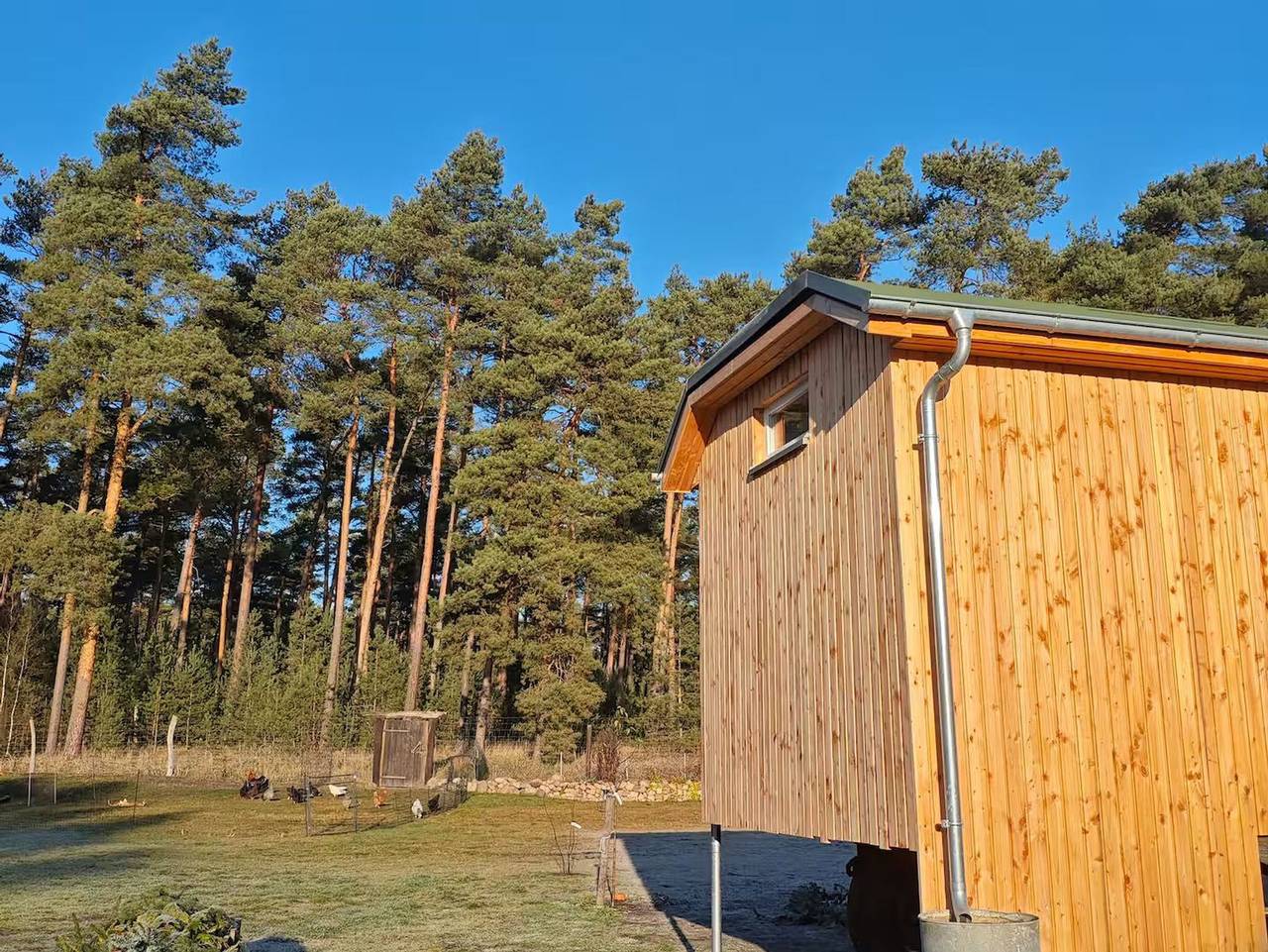 Ganze Ferienwohnung, Ferienwohnungen im Heideblick - Gästesuite am Waldrand, Ausstieg auf Zeit in Walddrehna, Heideblick