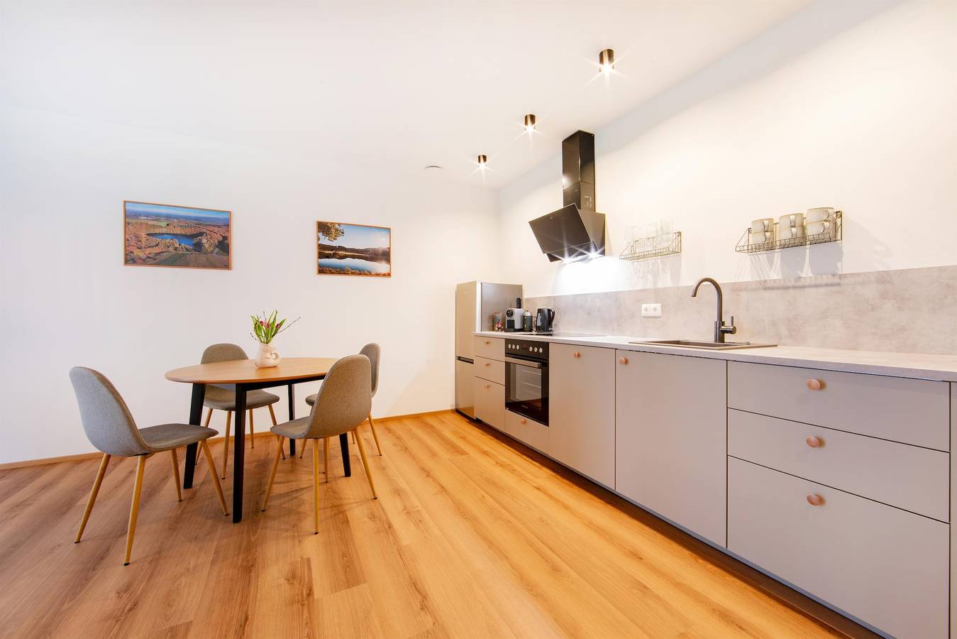 Entire vacation apartment, 2-Bett-Ferienwohnung Dusche/Wc für 1-4 Personen in Daun, Volcanic Eifel