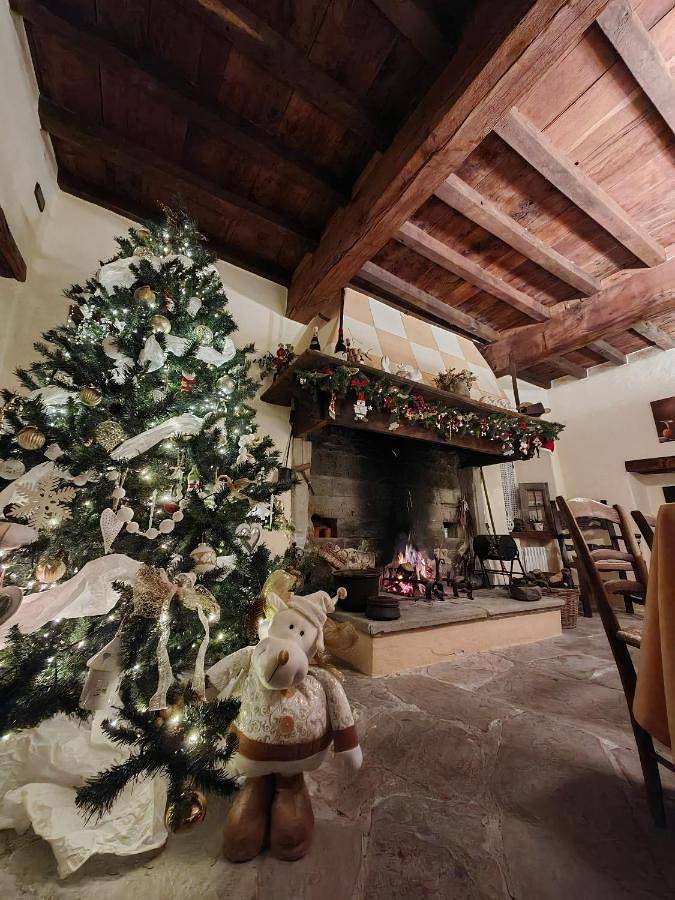 Gîte pour 4 personnes, avec jardin ainsi que vue et piscine, animaux acceptés dans Province de Modène - 2