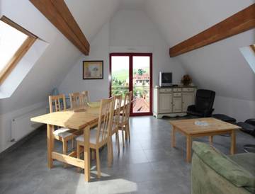 Gîte pour 6 personnes, avec vue et jardin, animaux acceptés à Mittelwihr