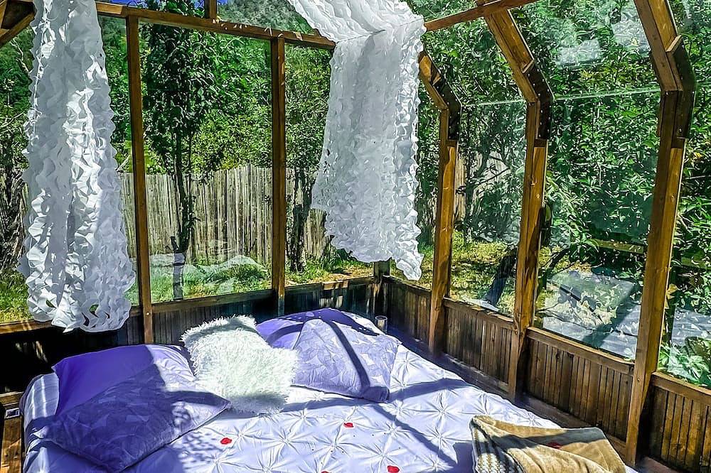 Chalet en verre sous une pluie d’étoiles in Lucéram, Côte méditerranéenne (France)