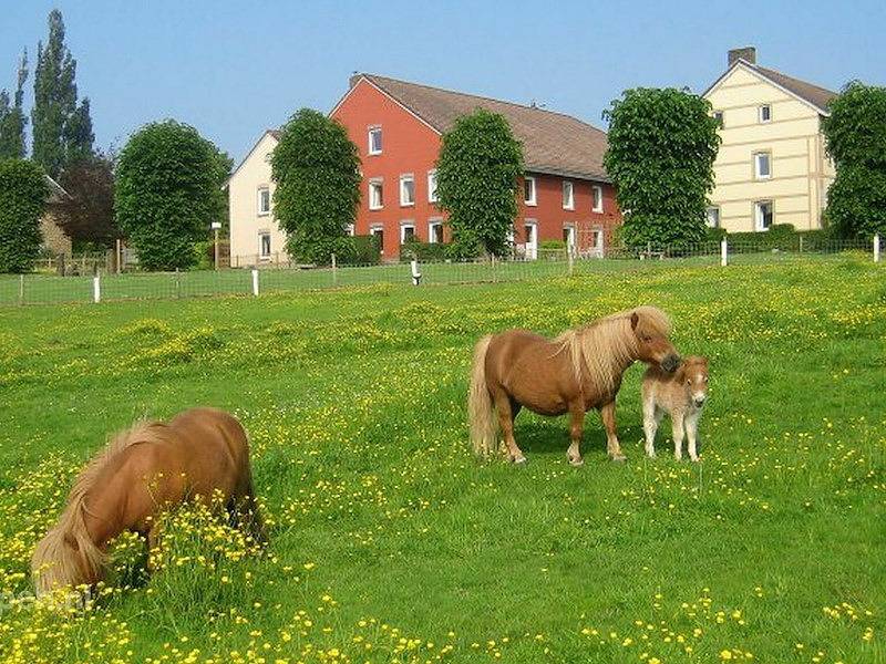 Accommodatie Gulpen in Gulpen, Limburg