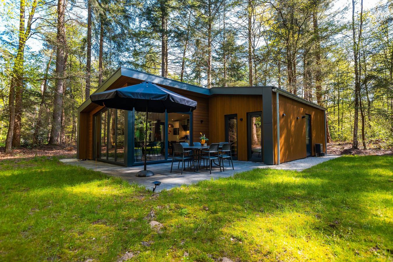 Vakantiepark De Wiltzangh — Zandborg Lodge mit Sauna | 6 Personen in Nationalpark Dwingelderveld