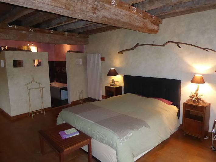 Chambre d’hôte pour 4 personnes, avec jacuzzi ainsi que piscine et jardin dans Maine-et-Loire - 4