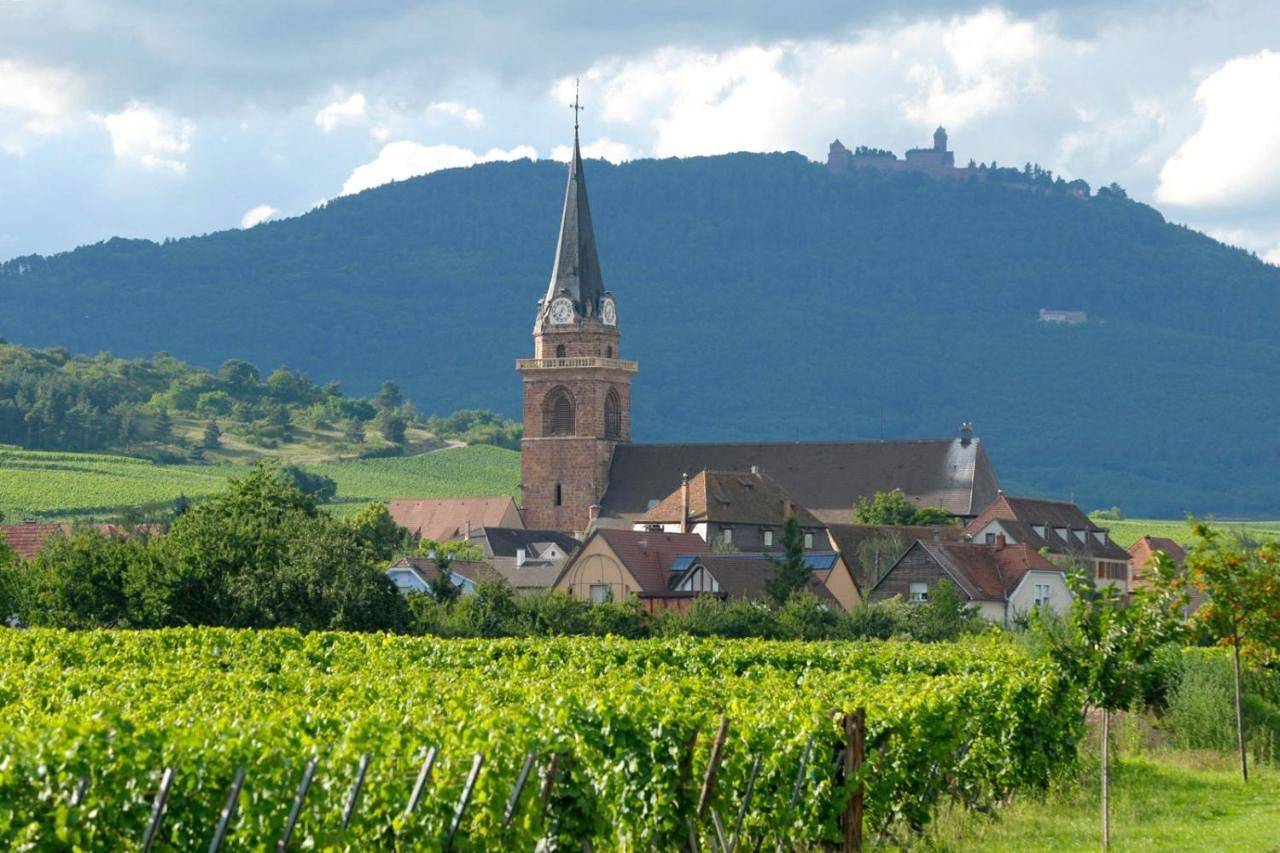 Appartement entier, Chez Filippa in Ostheim, Région de Ribeauvillé