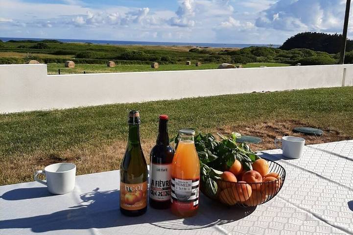 Location de vacances pour 8 personnes, avec terrasse et jardin dans Plage Du Steir Penmarc H
