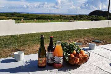Cottage pour 8 personnes, avec terrasse et jardin dans Plage Du Steir Penmarc H