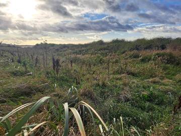 Ferienhaus für 6 Personen in Kalundborg, Nordwestseeland, Bild 4