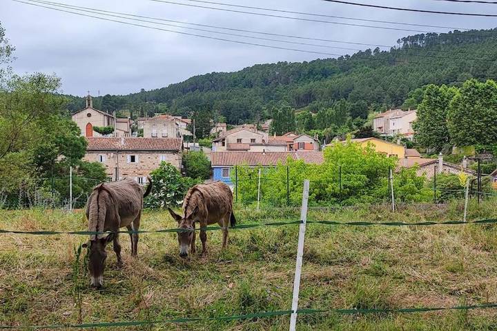 Gîte pour 4 personnes, avec vue, animaux acceptés à La Grand-Combe - 4