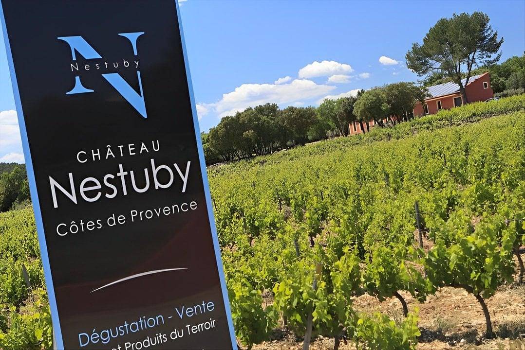 Château Nestuby - Chambres d'hôtes au Vignoble - Syrah in Cotignac, Région de Brignoles