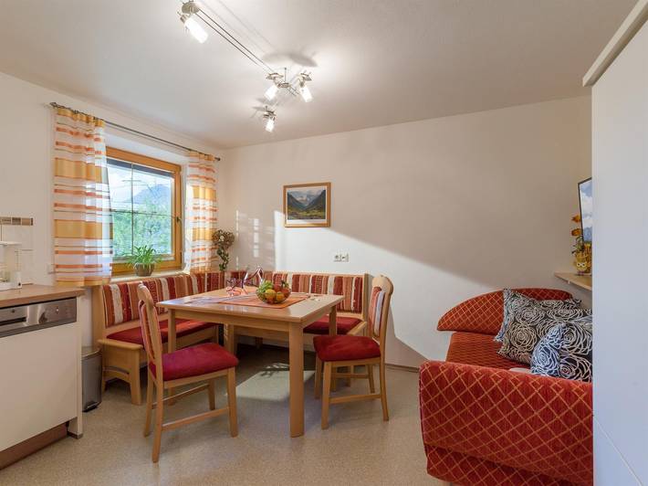 Ganze Ferienwohnung, Apartment/1 Schlafraum/Dusche, Wc in Bruck am Ziller, Bezirk Schwaz