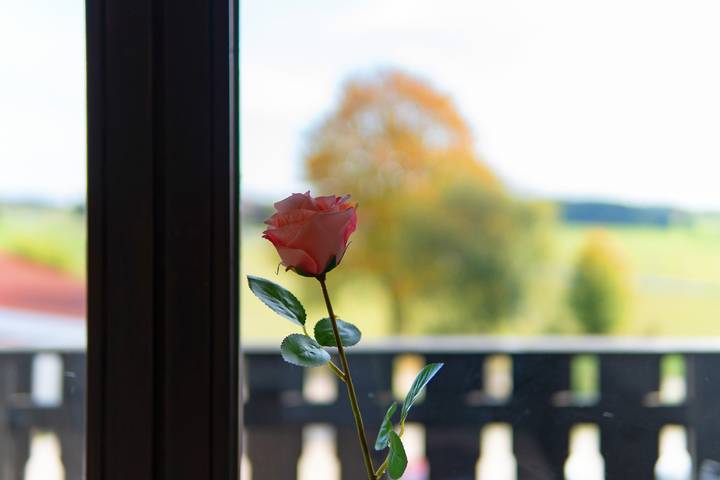 Ganze Wohnung, Apartment 'Traum im Bayerischen Wald' mit Balkon und WLAN in Wiesenfelden, Ostbayern