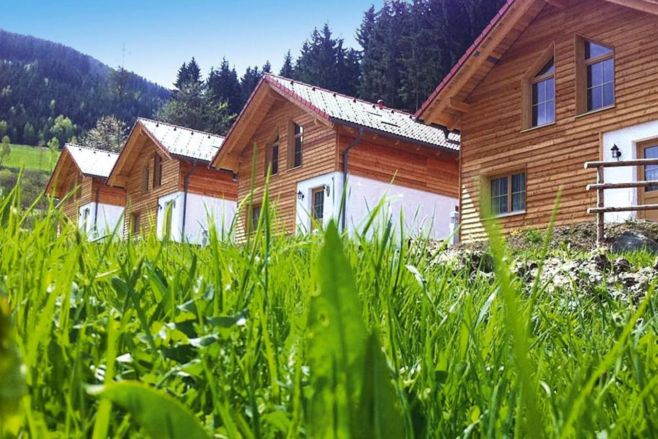 Chalet in Gaal an der Skipiste & Alpenpark in Gaal, Bezirk Knittelfeld