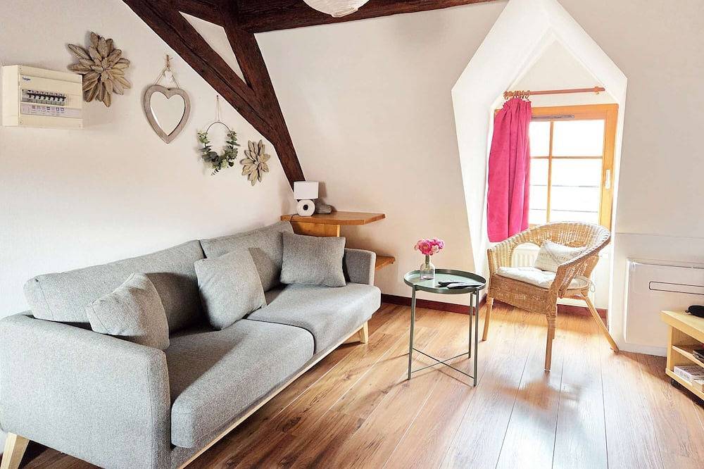 Ganze Wohnung, Legende 2 Steine, 3 Burgen - Ruhe - Im Herzen des historischen Zentrums in Eguisheim, Regionaler Naturpark Belchen der Vogesen
