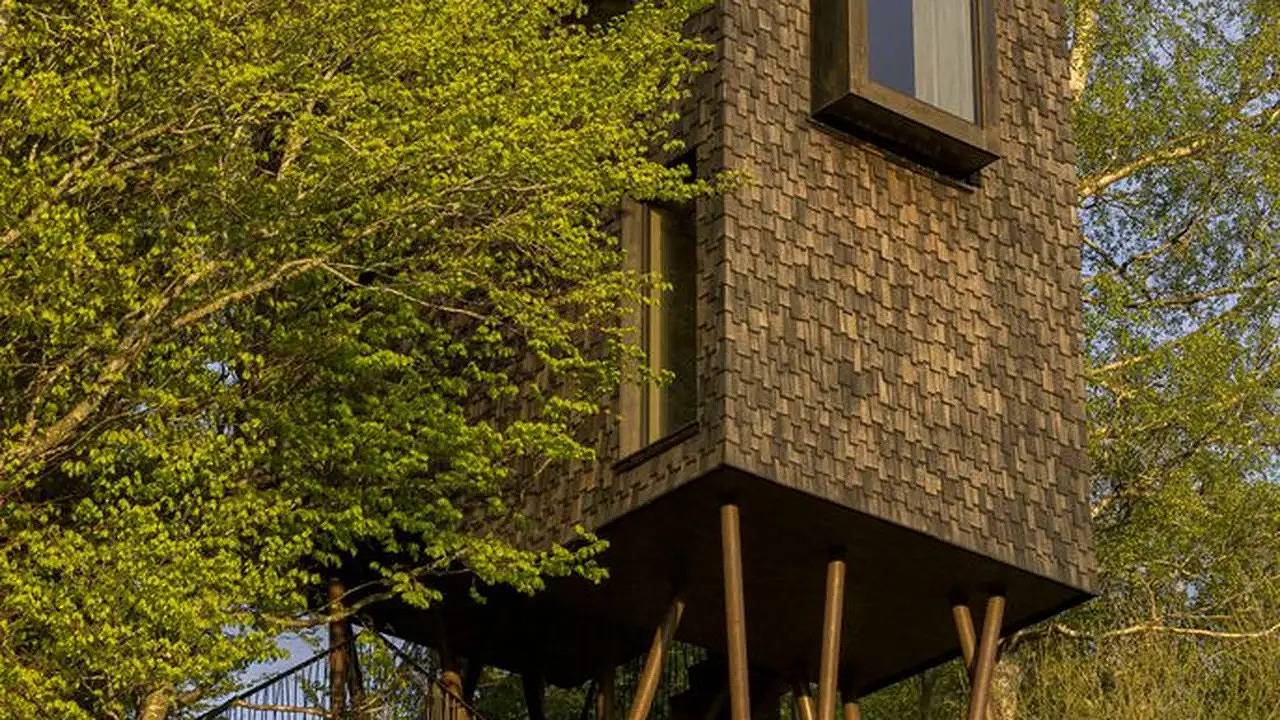 Ferienhaus für 4 Personen (50 m²) in Sulzberg in Sulzberg (Österreich), Bodensee-Vorarlberg