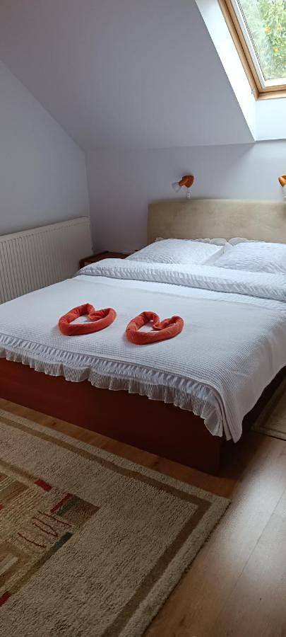 Appartement de vacances entier, Pasager House in Sovata