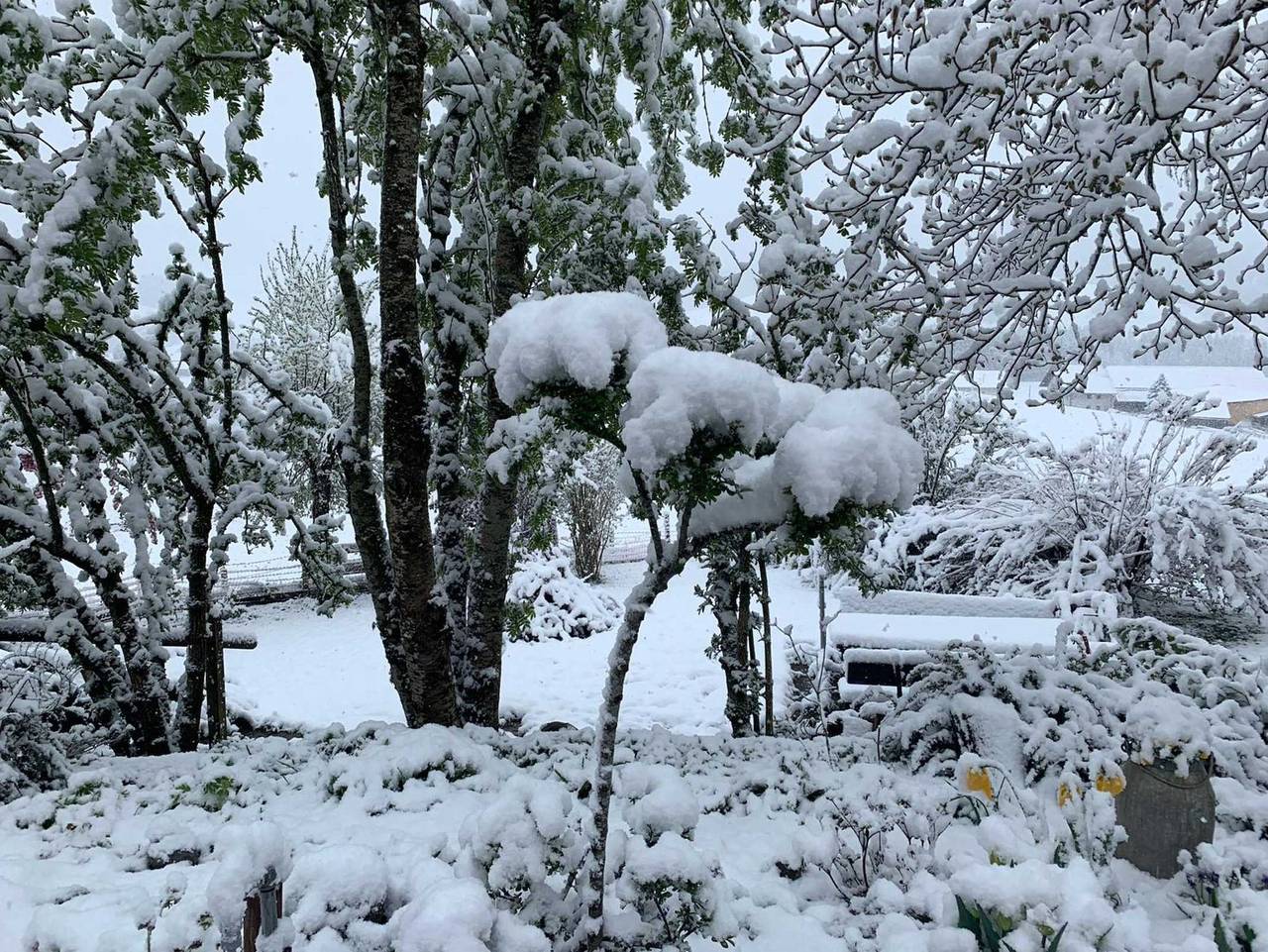 Ganze Ferienwohnung, Fewo Engelhirsch - Ferienwohnung Westseite in Weitnau, Bayerisch Schwaben